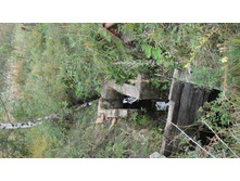 ���. ��. ����. ���... �� ����������