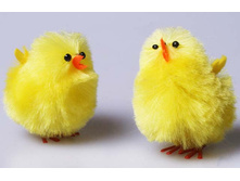 ����� ������2.jpg