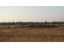 �����)) � �����