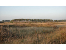 ������ �����)