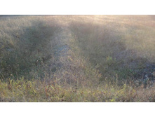 ���������� ������ ������ � ������ �����