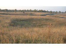 ���  ������)