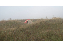 �������� � �����)