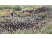 �����������...