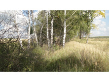 ����������� � �������