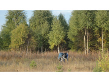 ����� �� ����-���))