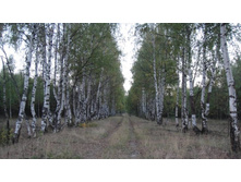 ������� ��� ������ �� ���� ����� \"����\"