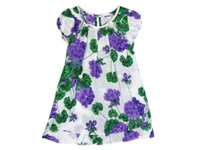 112 05 GM C 2502.jpg