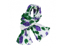 112 05 GM C 7501.jpg