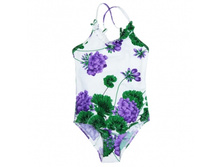 112 05 GM C 8003.jpg