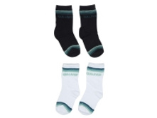 112 08 BM S 8502.jpg