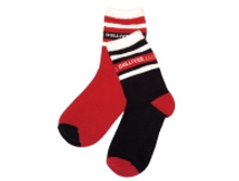 112 14 BK C 8501.JPG