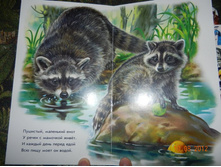 DSCN2139.JPG