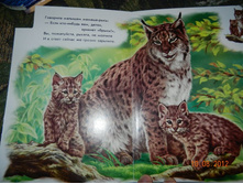 DSCN2141.JPG