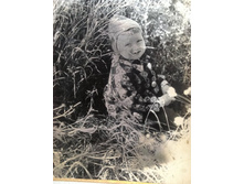 ��� �����.jpg