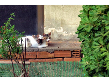 ����������... �����