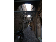 ������ ������� ������