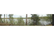 ��. �������