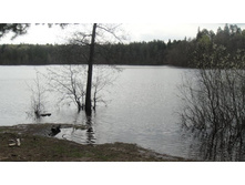 ��. �����