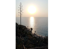 ��������...