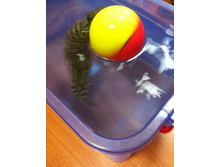 118 ���. ������� �������������.jpg