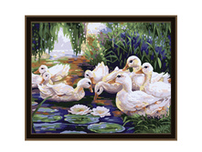 MG165_50�40��� �����.jpg