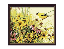 MG057_50�40������ ��������.jpg