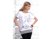 ���   ( ZAPS )