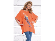 ������   ( ZAPS )