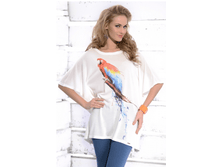 ������   ( ZAPS )  