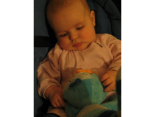 �� ���� ���� ���������