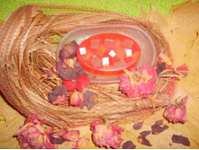 ������������ ���� \"�����-������\"