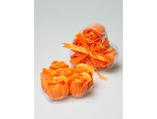 ���� ���� ������ �����.jpg