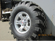 ���� ����� 