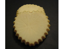 "������ � ��������"