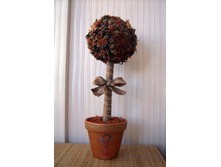 ������� �������