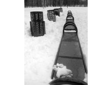 � �������� ������