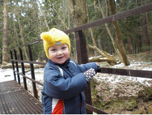 ������ 2 ������ 52 ��