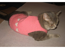 ��� ���� ����� ������ :)