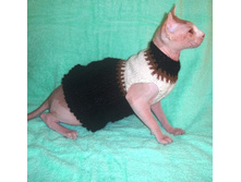 �����-����� ����������