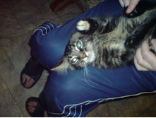 ������������� ������ 3���