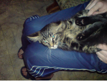 ������ 3���