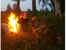 � ������