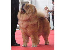 ����� �� ��������