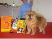 ���������� � ������ BIG - 2