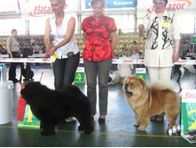 ���� � ������ �� - 2,  �����