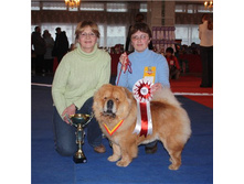 �� ������� �������� ���