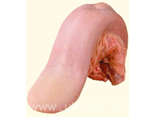 ���� �������.jpg