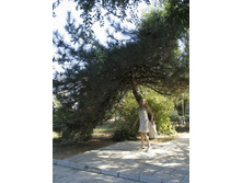 ������. ����� ����������