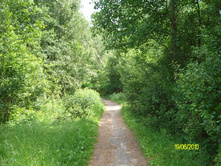 SANY0194.JPG